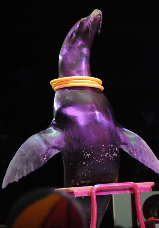 2011_04_07__4575.jpg