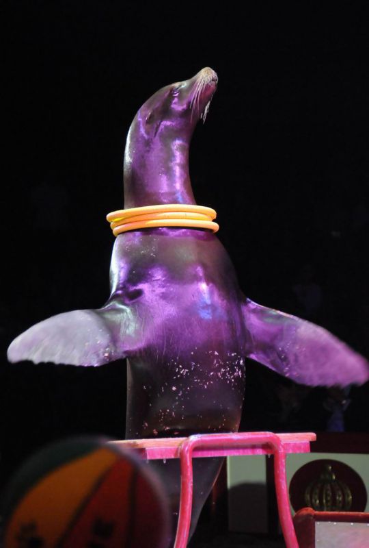 2011_04_07__4578.jpg