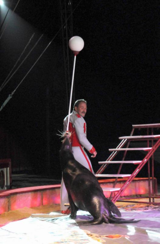2011_04_07__4869.jpg