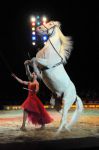 2011_04_07__2928.jpg