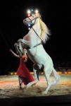 2011_04_07__2929.jpg