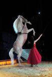 2011_04_07__2938.jpg