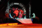 2011_04_07__2963.jpg