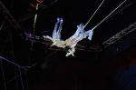 2011_04_07__3059.jpg