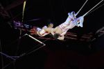 2011_04_07__3085.jpg