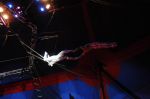 2011_04_07__3166.jpg