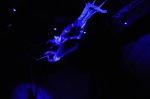 2011_04_07__3188.jpg