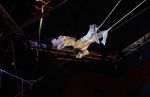 2011_04_07__3221.jpg