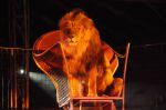 2011_04_07__3596.jpg