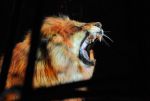 2011_04_07__3789.jpg