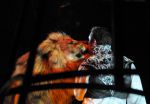 2011_04_07__3800.jpg