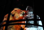 2011_04_07__3801.jpg