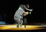 2011_04_07__4023.jpg