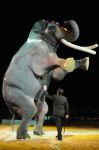 2011_04_07__4024.jpg