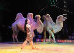 2011_04_07__4062.jpg
