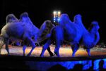 2011_04_07__4099.jpg