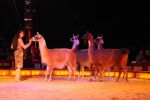 2011_04_07__4158.jpg