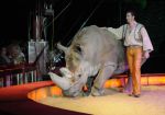 2011_04_07__4167.jpg
