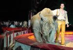 2011_04_07__4186.jpg
