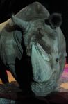 2011_04_07__4192.jpg