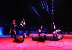 2011_04_07__4474.jpg