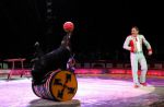 2011_04_07__4549.jpg