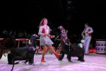 2011_04_07__4615.jpg