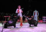 2011_04_07__4622.jpg