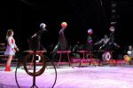 2011_04_07__4685.jpg