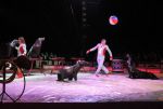 2011_04_07__4728.jpg