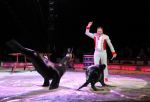 2011_04_07__4777.jpg