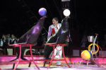 2011_04_07__4816.jpg
