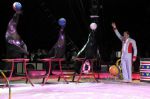 2011_04_07__4821.jpg