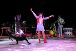 2011_04_07__4835.jpg