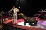 2011_04_07__4844.jpg