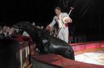 2011_04_07__4849.jpg