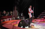 2011_04_07__4865.jpg