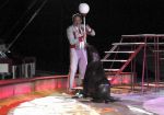 2011_04_07__4868.jpg