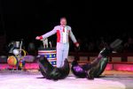 2011_04_07__4923.jpg