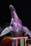 2011_04_07__4924.jpg