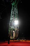 2011_04_07__5235.jpg