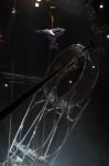 2011_04_07__5382.jpg