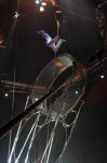 2011_04_07__5388.jpg
