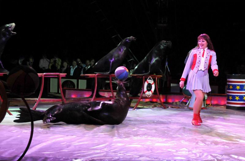 2011_04_07__4673~0.jpg