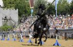 Dateiname=2016_07_24_08825~0.jpg
Dateigröße=156KB
Abmessungen: 800x524
hinzugefügt am: %31. %595 %2016 2016_07_24_08825~0.jpg