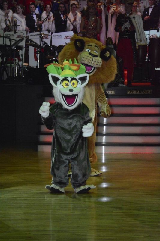 2016_01_22_02805.jpg