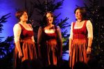 2011_11_27__00468.jpg