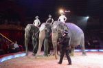 Dateiname=2016_12_25__2904.jpg
Dateigröße=106KB
Abmessungen: 800x533
hinzugefügt am: %30. %117 %2016 2016_12_25__2904.jpg