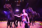 2016_12_25__4852.jpg