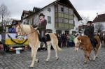Dateiname=2016_12_26__5899~0.jpg
Dateigröße=133KB
Abmessungen: 800x533
hinzugefügt am: %01. %305 %2017 2016_12_26__5899~0.jpg